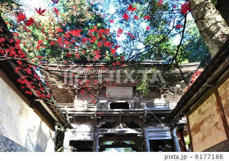 秋の横蔵寺 秋の横蔵寺 6177186