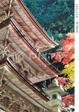 秋の横蔵寺 6177187