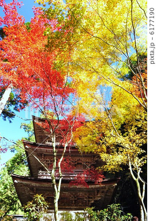 秋の横蔵寺 6177190