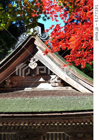 秋の横蔵寺 6177191