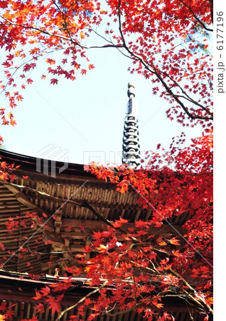 秋の横蔵寺 6177196