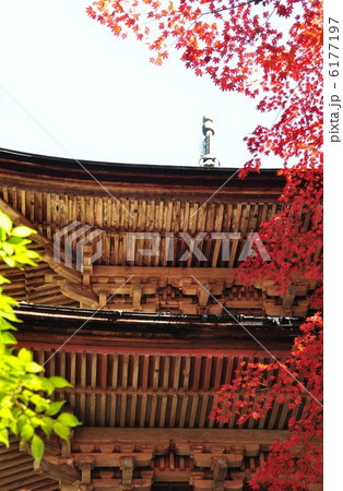 秋の横蔵寺 秋の横蔵寺 6177197