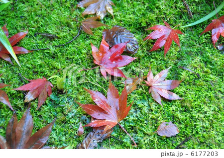 秋の横蔵寺 秋の横蔵寺 6177203