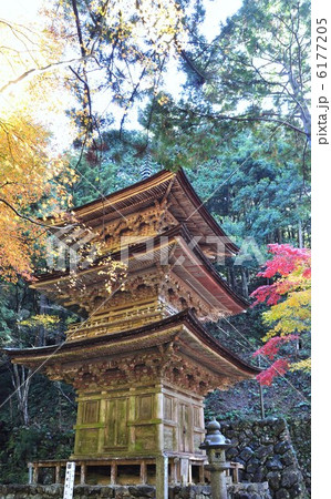 秋の横蔵寺 6177205