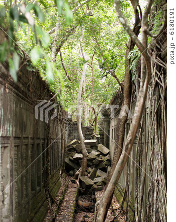 世界遺産 アンコール遺跡 ベンメリア 世界遺産 アンコール遺跡 ベンメリア 6180191