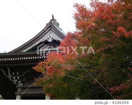 高尾山　薬王院 6180268