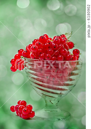 Red currant on the abstract background 6180902