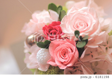 ローズ ローズ 6181198