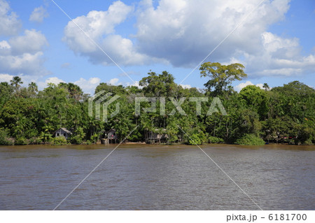 アマゾン川と河岸の民家 6181700
