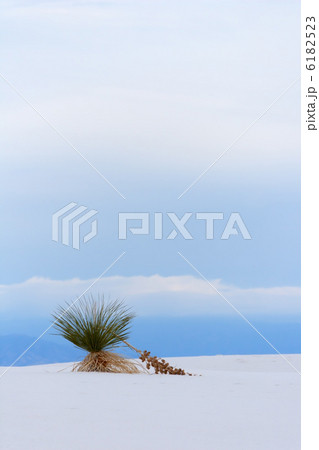 ホワイトサンズ 6182523