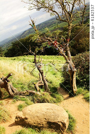 グラストンベリーのエッグストーン グラストンベリーのエッグストーン 6182537