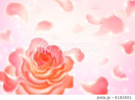 サーモンピンクの花びら 6182601