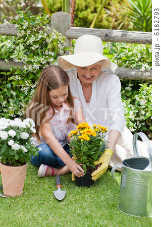 Grandmother with her granddaughter working in the garden Grandmother with her granddaughter working in the garden 6182793
