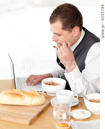 Charming businessman using a laptop while having breakfast 6205788
