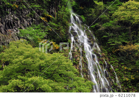木島平村・一年に一度だけ放流する幻の樽滝 6211078