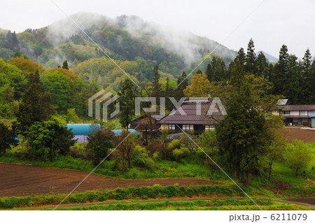 春の里山 6211079