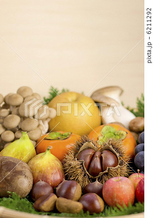 秋の味覚 6211292