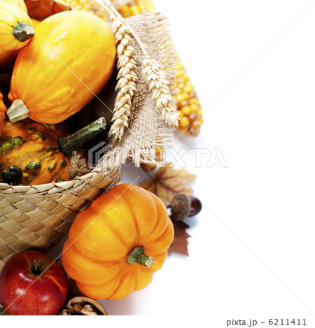 Harvest time, pumpkins Harvest time, pumpkins 6211411