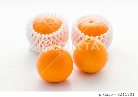 愛媛産ベニマドンナ 6211501