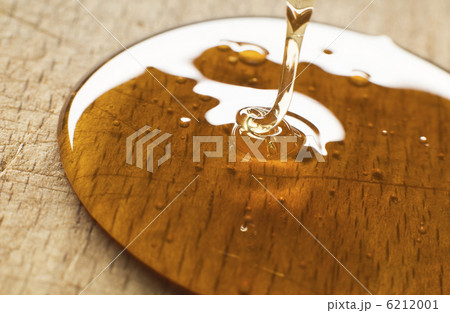 honey honey 6212001