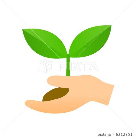 新芽を持つ手 6212351