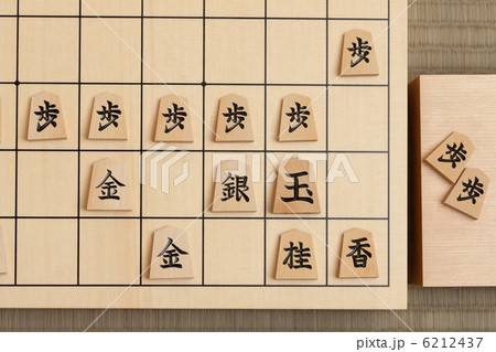 将棋 将棋 6212437