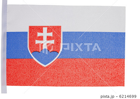 Slovakian flag Slovakian flag 6214699