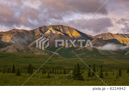 Denali Denali 6224942