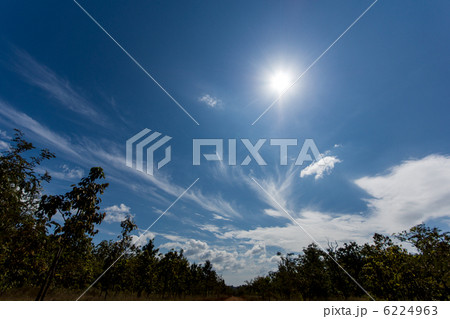 カンボジアの空 カンボジアの空 6224963