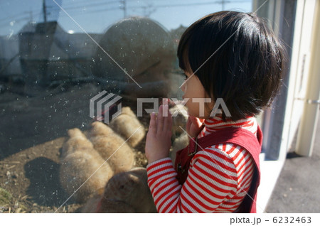 プレーリードッグと女の子 6232463