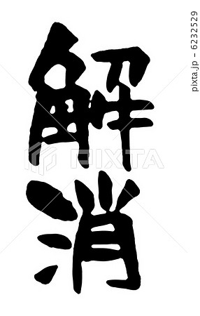 解消 6232529