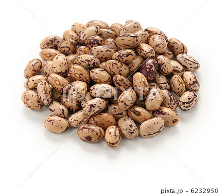 ウズラマメ ウズラマメ 6232950