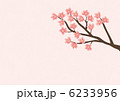 桜 6233956
