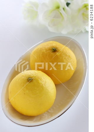 日向夏 日向夏 6234188