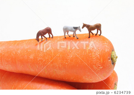 にんじんに乗る馬 6234739
