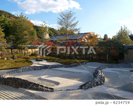 京都・鷲峰山高台寺・庭園 6234759