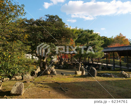 京都・鷲峰山高台寺・境内 6234761