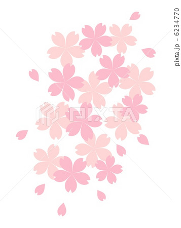 桜 6234770