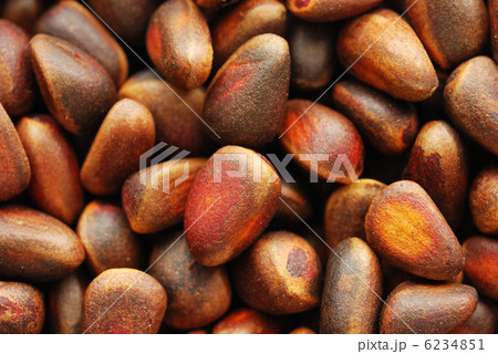 Pine Nuts Pine Nuts 6234851