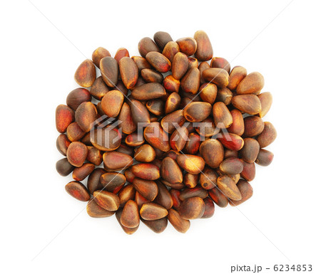 Pine nuts isolated on white background 6234853