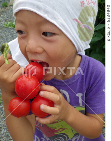 トマトを食べる子供 トマトを食べる子供 6234940