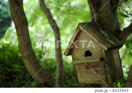 手作り巣箱 6235953