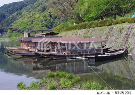 並んだ屋形船 並んだ屋形船 6236055