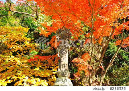 紅葉の中の観音様 6236526