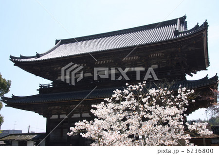 仁和寺仁王門 6236800