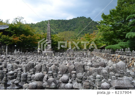 化野念仏寺 6237904