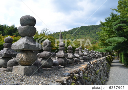 化野念仏寺 6237905