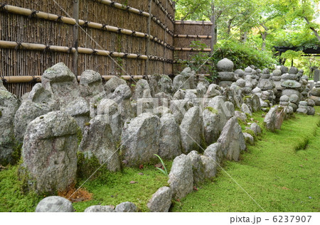 化野念仏寺 化野念仏寺 6237907