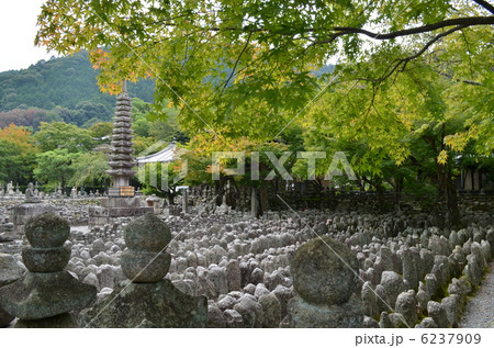 化野念仏寺 6237909