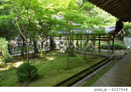 竜安寺 竜安寺 6237948